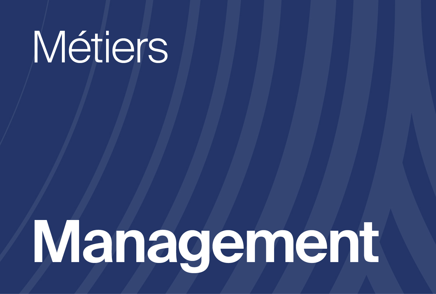 01_Management.jpg