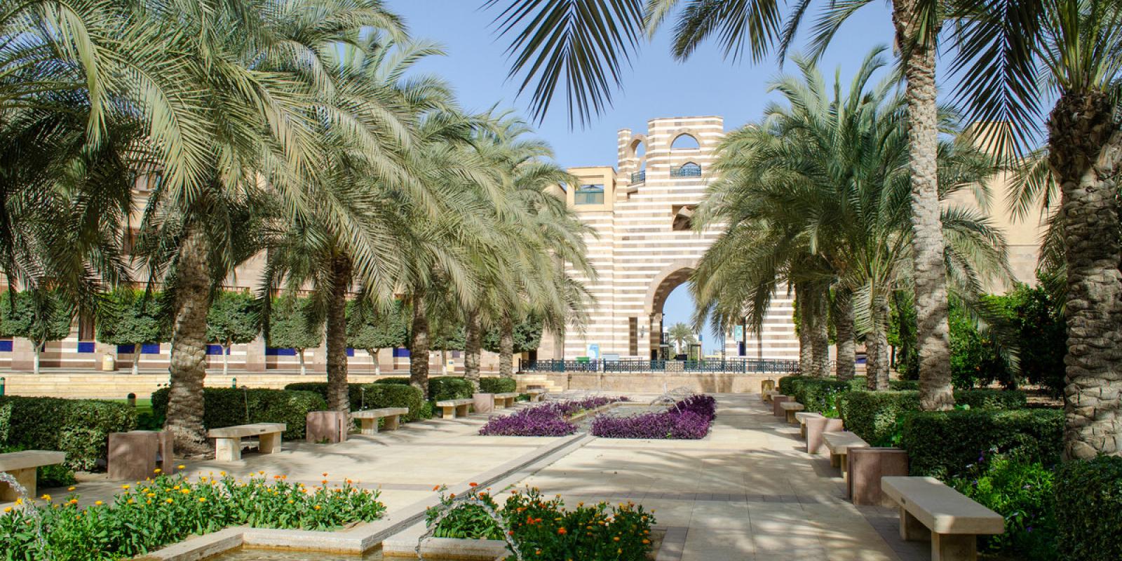 The American University in Cairo The American University in Cairo