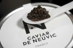Paris School of Business visit luxury Caviar company!