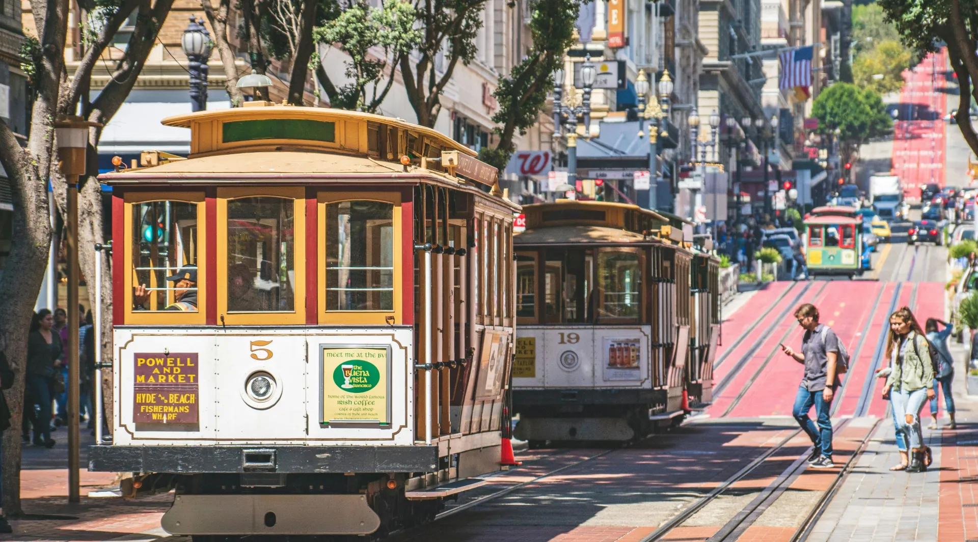 San Francisco University
