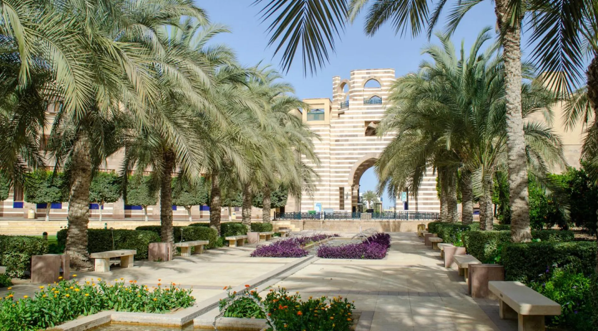 The American University in Cairo