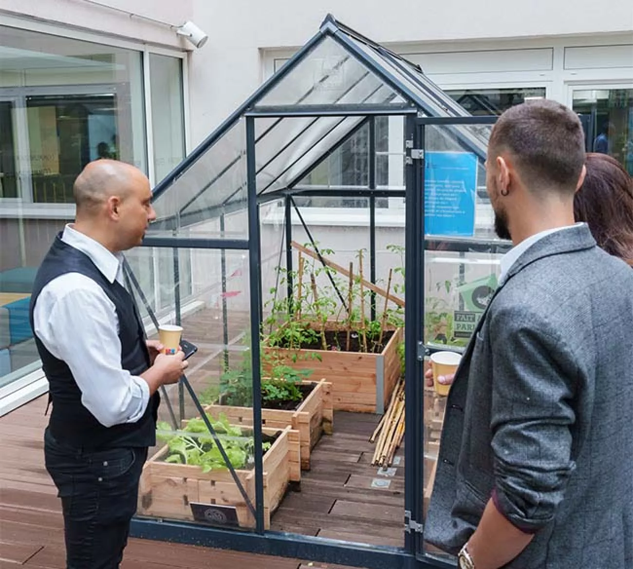 Potager sur la terrasse de l’école Potager sur la terrasse de l’école