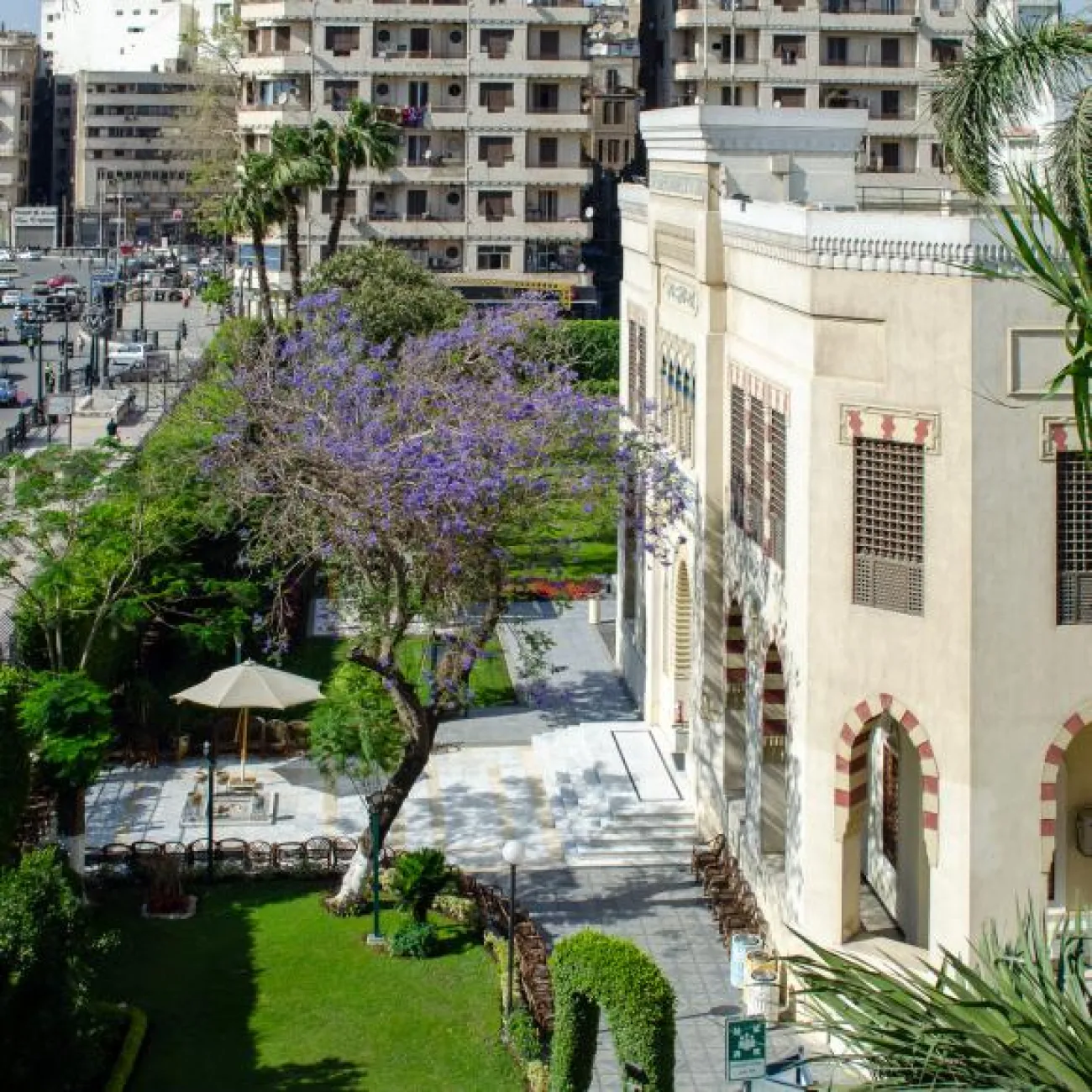 The American University in Cairo