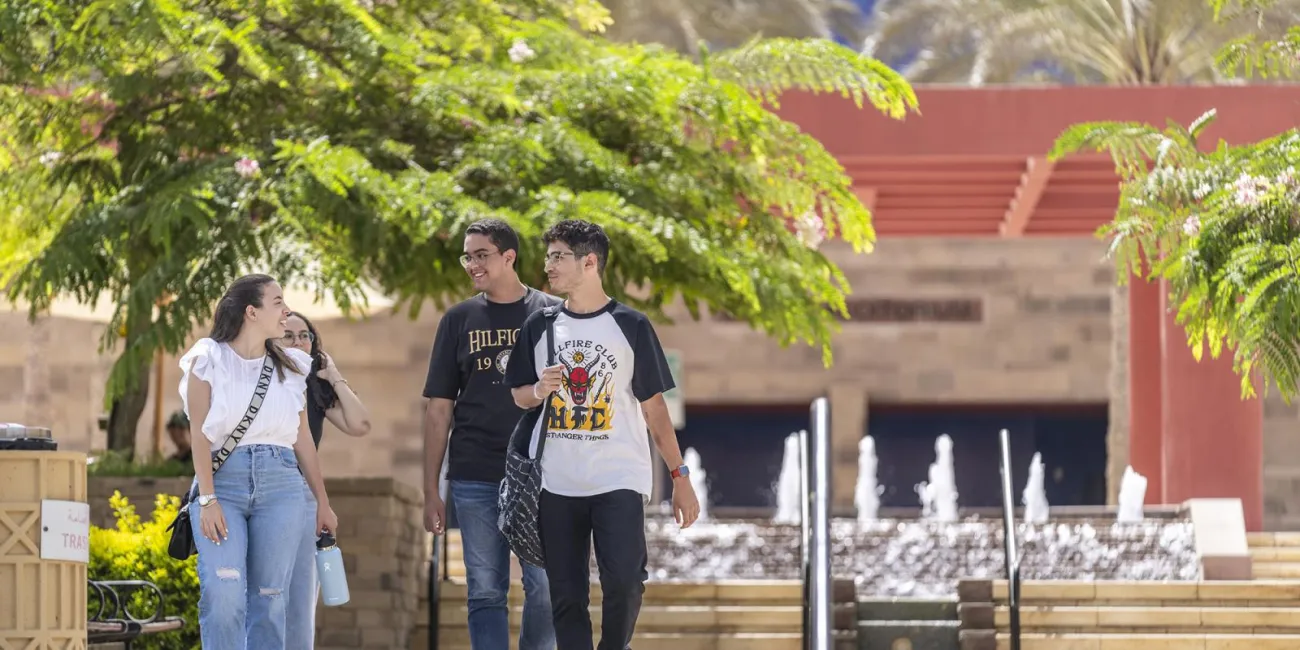The American University in Cairo