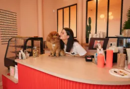 Casa Del Doggo